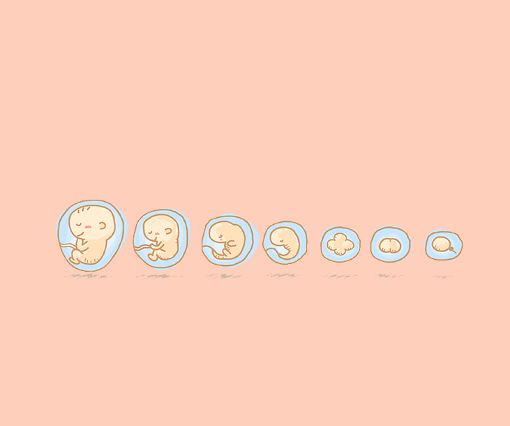 Mi Diario del Embarazo: Diario de mi Embarazo - Para registrar los 9 meses  más especiales de tu vida - Agenda embarazo | Regalos para mamas
